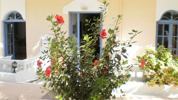 Sirena Apartments Agia Pelagia Zewnętrze zdjęcie